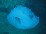 2009-09-09 14-29-23S